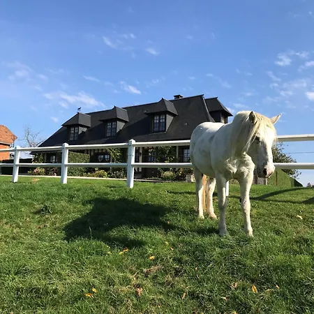 La Roseraie * Hermival-les-Vaux